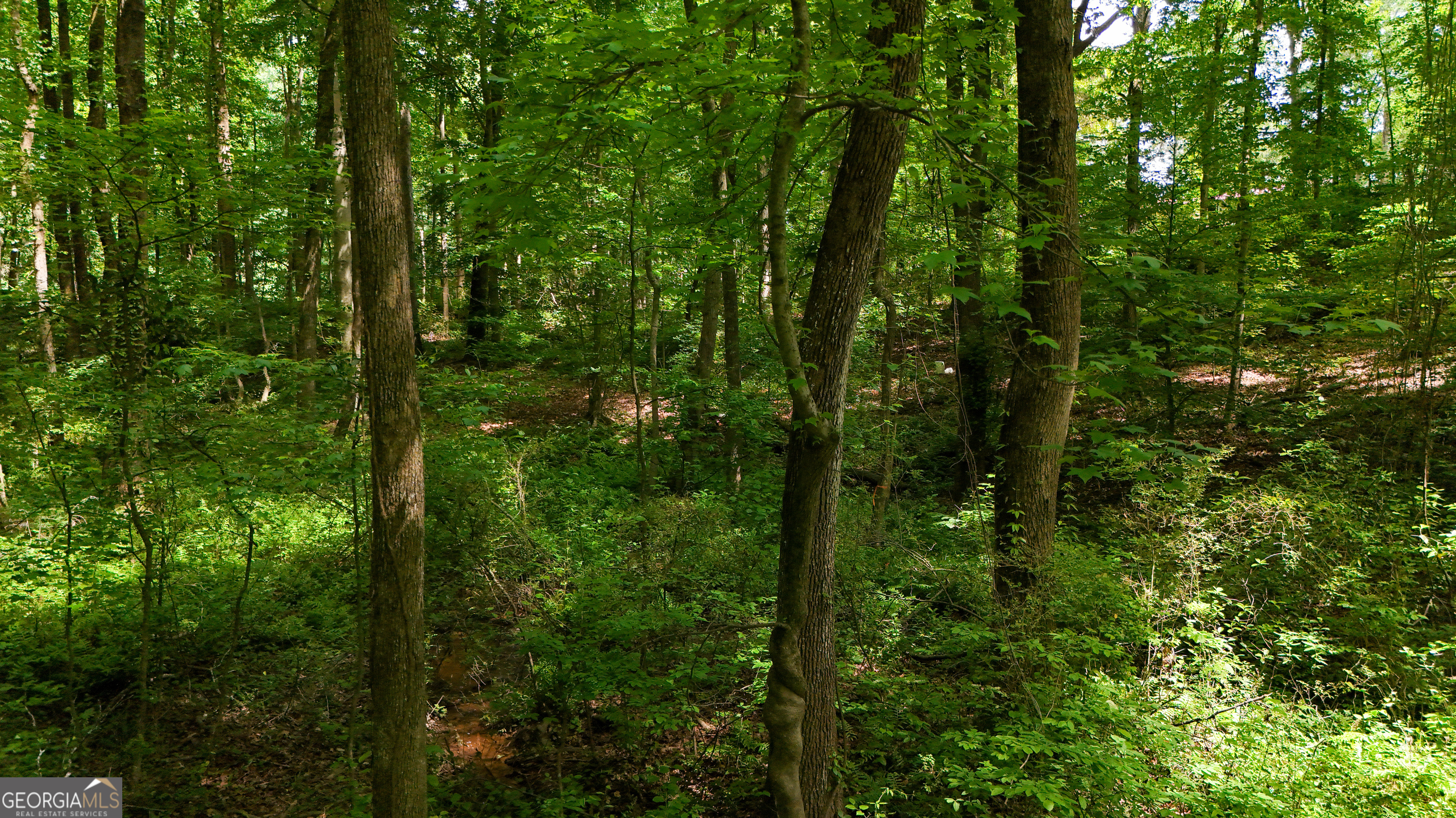 186 Doyle Road Bowersville GA 30516