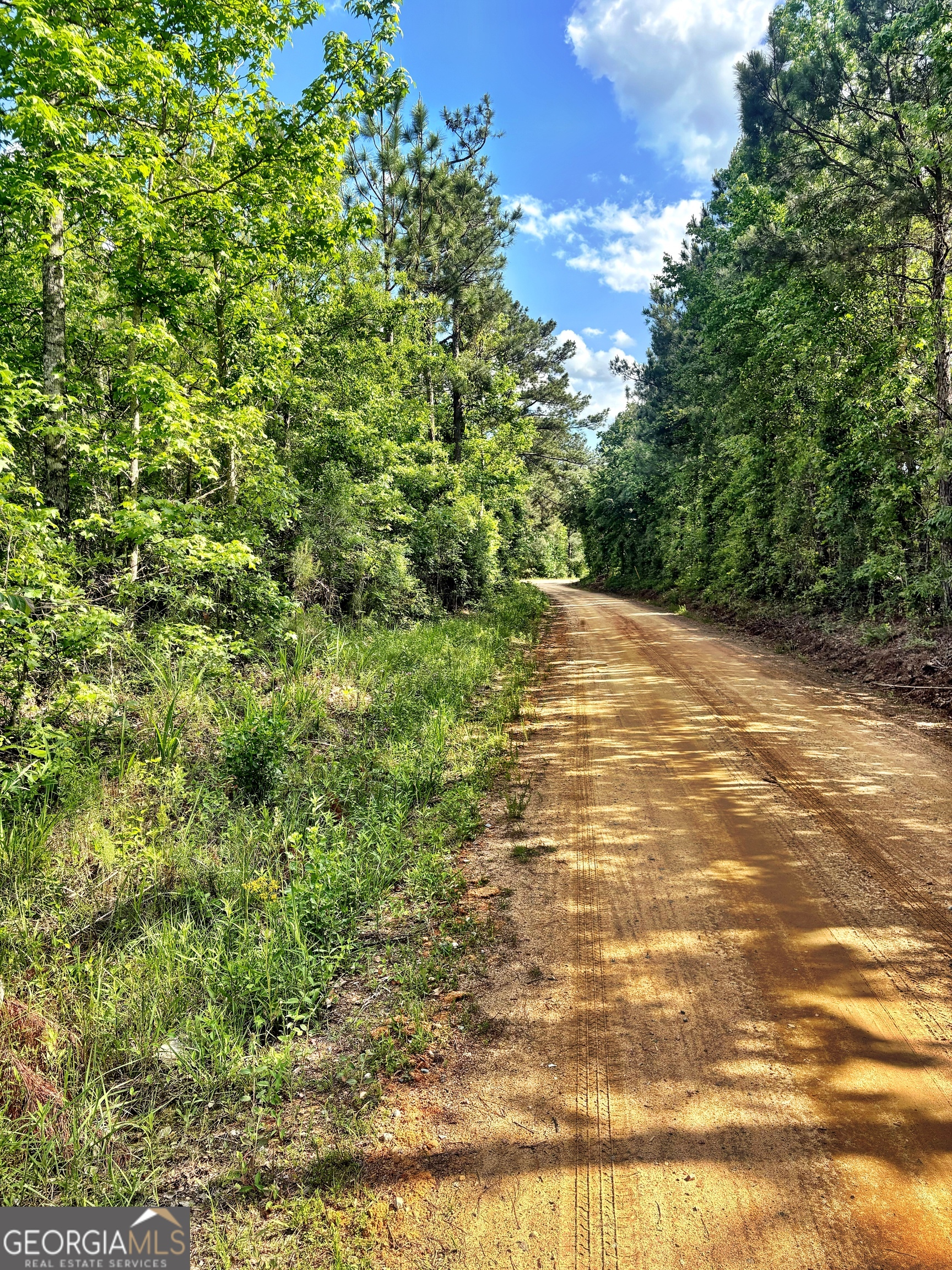 0 Johnson Road Musella GA 31066