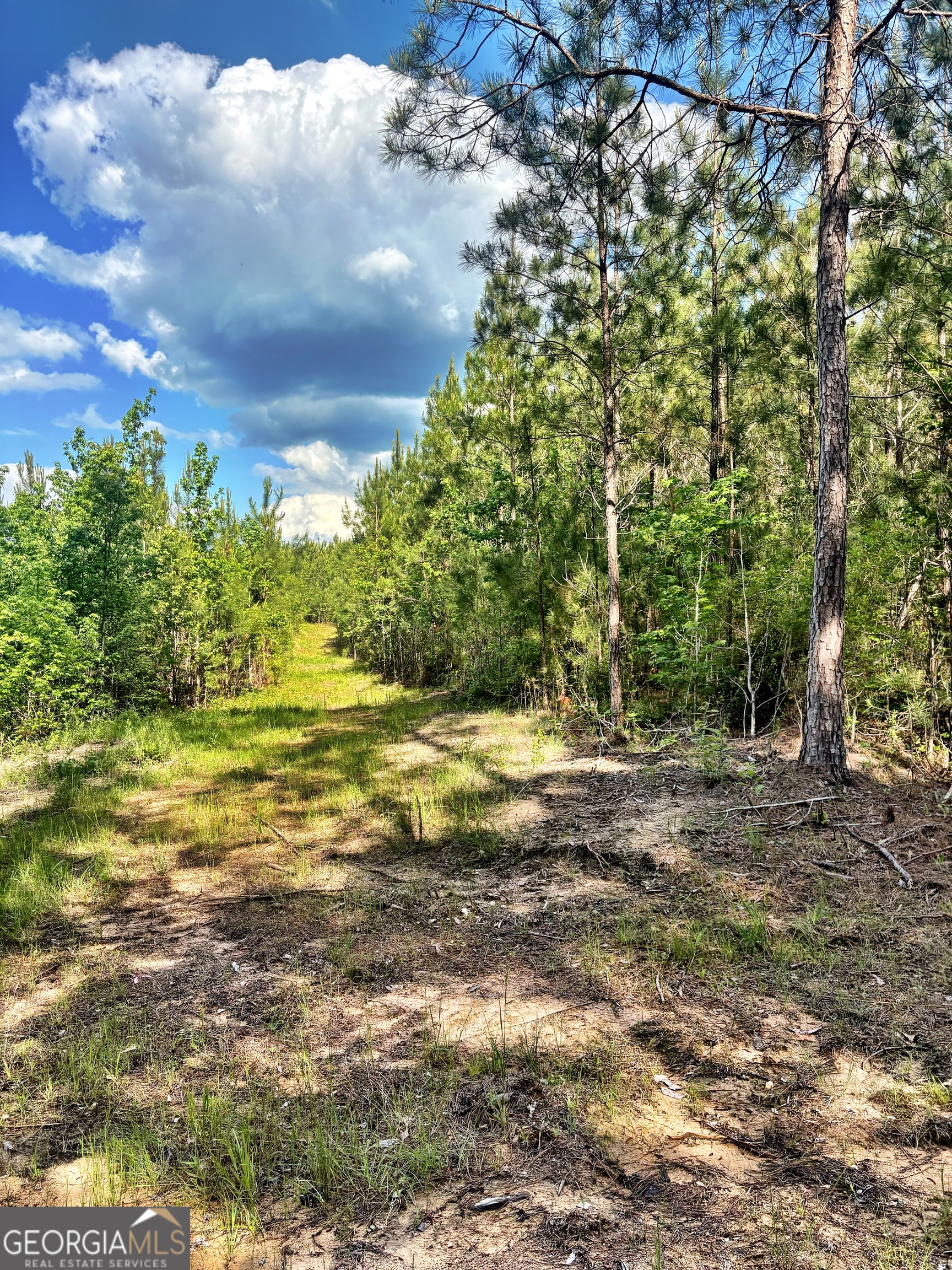 0 Johnson Road Musella GA 31066