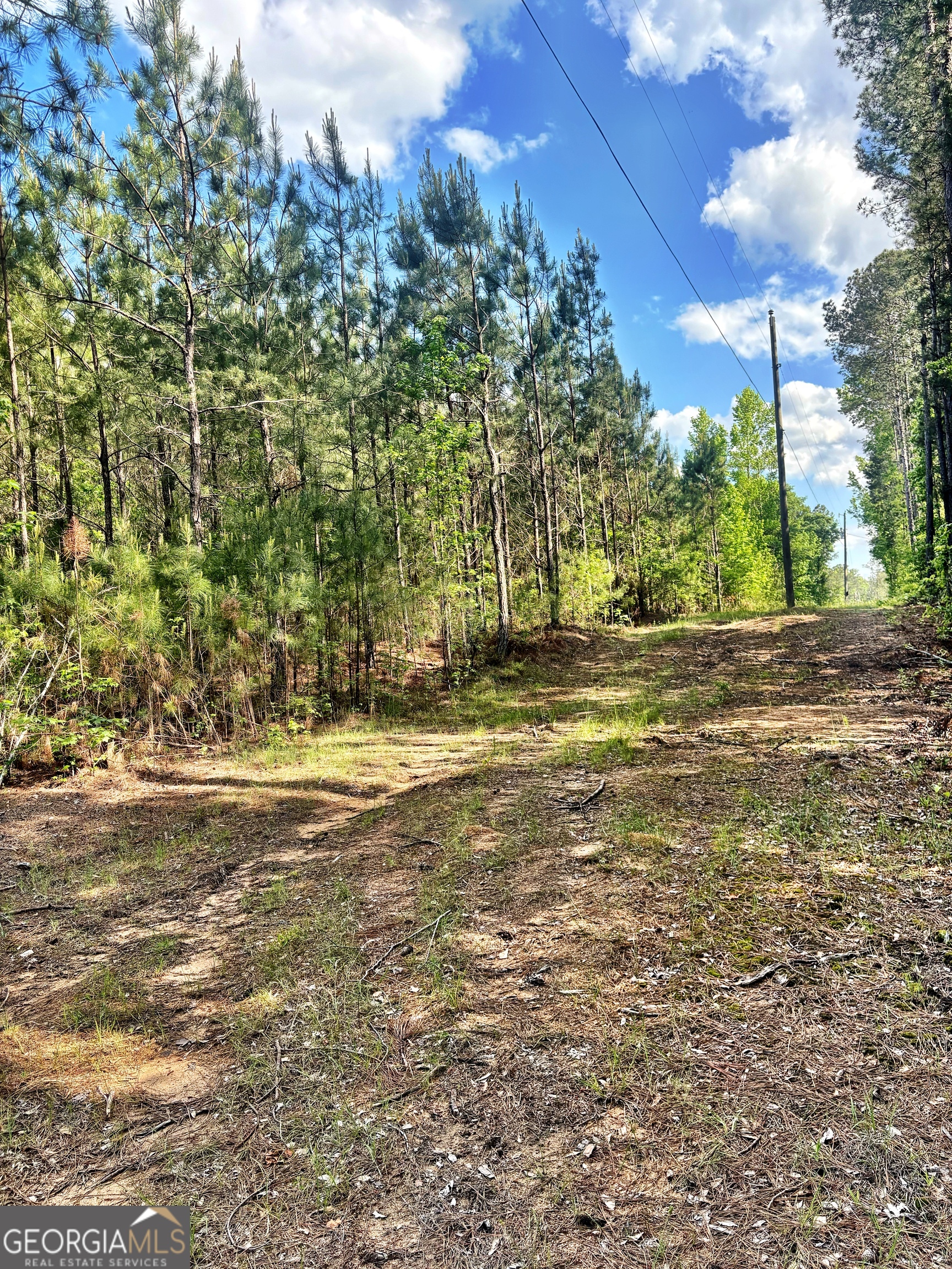 0 Johnson Road Musella GA 31066