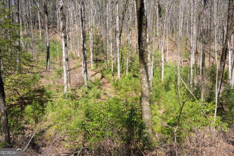 0 Hale Ridge Road Clayton GA 30525