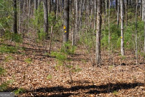 0 Hale Ridge Road Clayton GA 30525