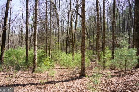0 Hale Ridge Road Clayton GA 30525