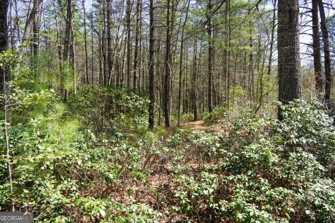 0 Hale Ridge Road Clayton GA 30525