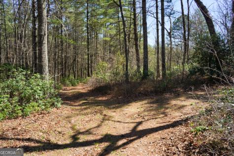 0 Hale Ridge Road Clayton GA 30525