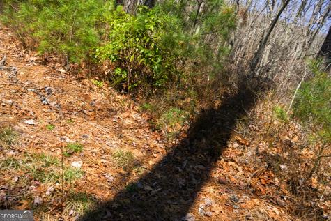 0 Hale Ridge Road Clayton GA 30525