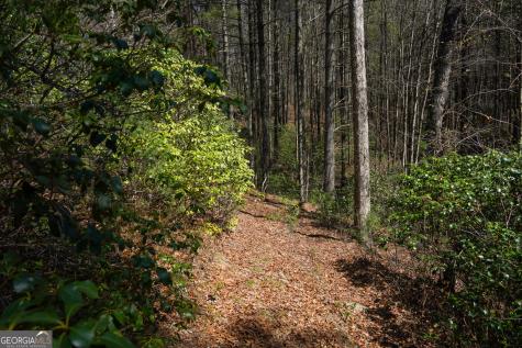0 Hale Ridge Road Clayton GA 30525
