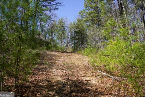 0 Hale Ridge Road Clayton GA 30525