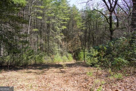 0 Hale Ridge Road Clayton GA 30525