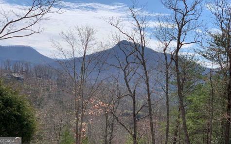 Lot 42 Dan Knob Hayesville NC 28904