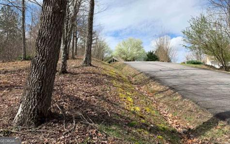Lot 42 Dan Knob Hayesville NC 28904