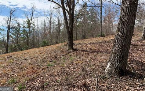 Lot 42 Dan Knob Hayesville NC 28904