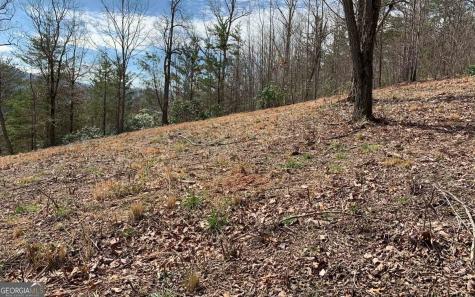Lot 42 Dan Knob Hayesville NC 28904