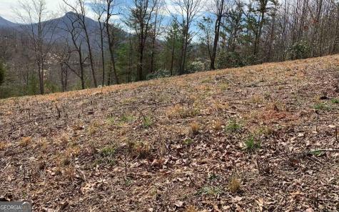 Lot 42 Dan Knob Hayesville NC 28904