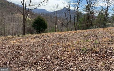 Lot 42 Dan Knob Hayesville NC 28904