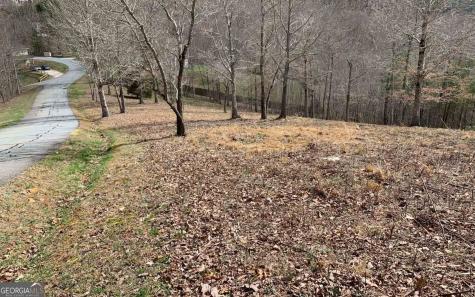 Lot 42 Dan Knob Hayesville NC 28904