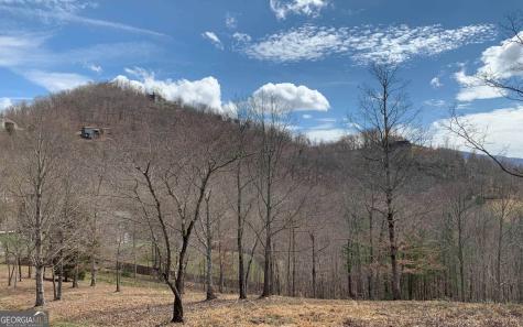Lot 42 Dan Knob Hayesville NC 28904