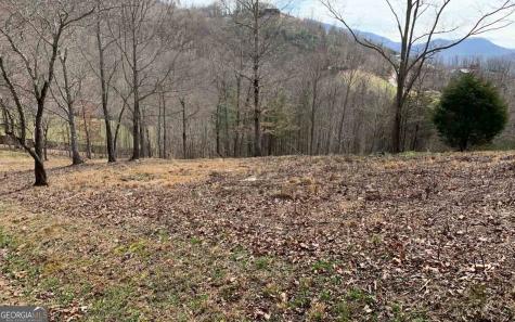 Lot 42 Dan Knob Hayesville NC 28904