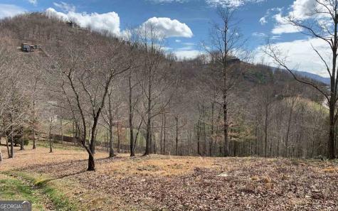 Lot 42 Dan Knob Hayesville NC 28904