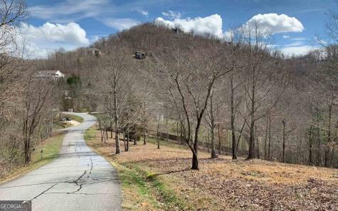 Lot 42 Dan Knob Hayesville NC 28904