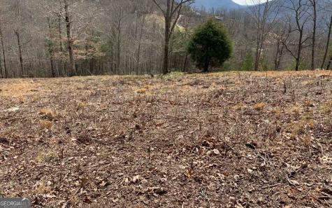 Lot 42 Dan Knob Hayesville NC 28904