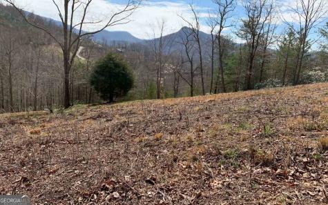 Lot 42 Dan Knob Hayesville NC 28904