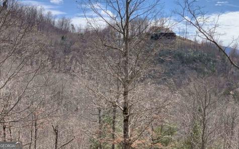 Lot 42 Dan Knob Hayesville NC 28904