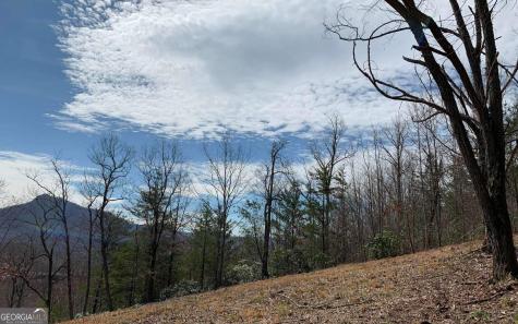 Lot 42 Dan Knob Hayesville NC 28904