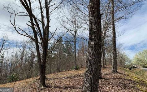 Lot 42 Dan Knob Hayesville NC 28904