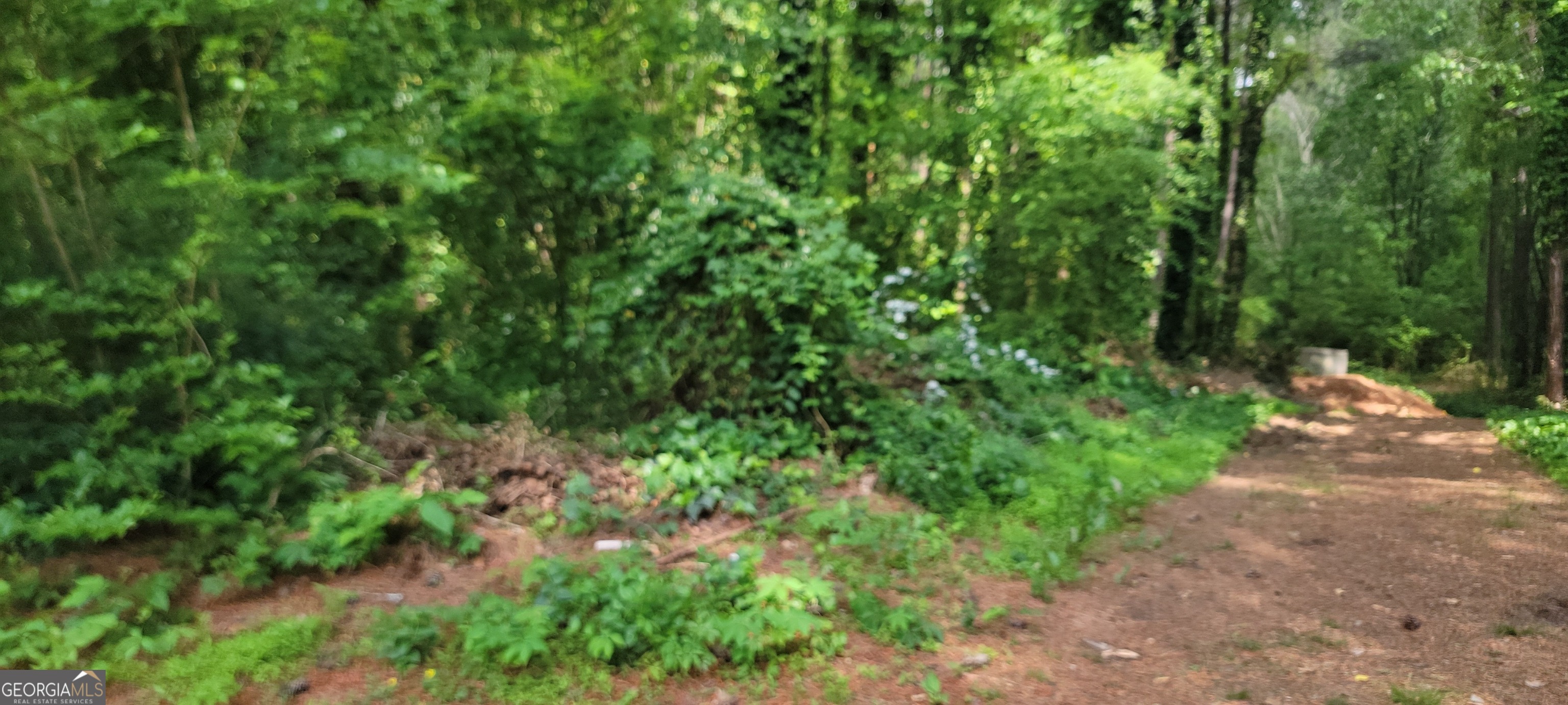 48 Lake Latimer Drive Kennesaw GA 30144