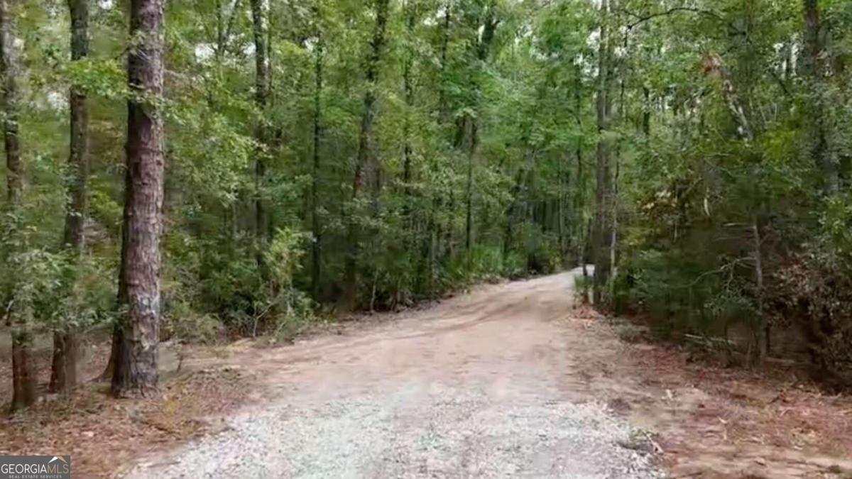 Lot 8 Emmaus Church Road St. George GA 31562