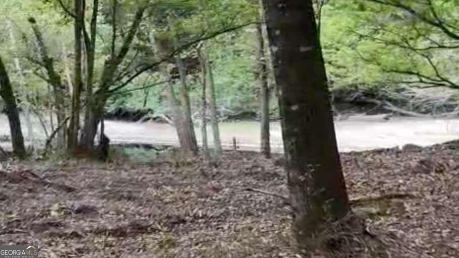 Lot 8 Emmaus Church Road St. George GA 31562