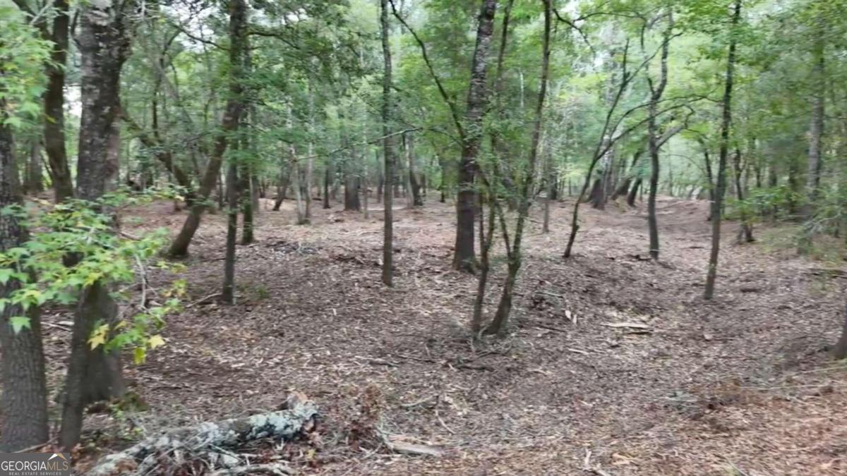 Lot 8 Emmaus Church Road St. George GA 31562
