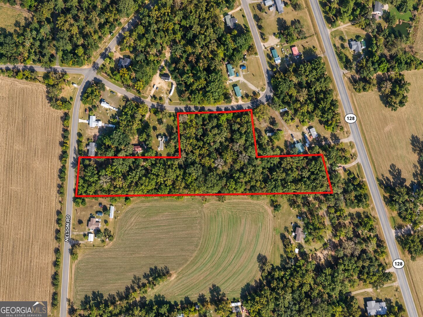 9.93 Acres Park Avenue Reynolds GA 31076