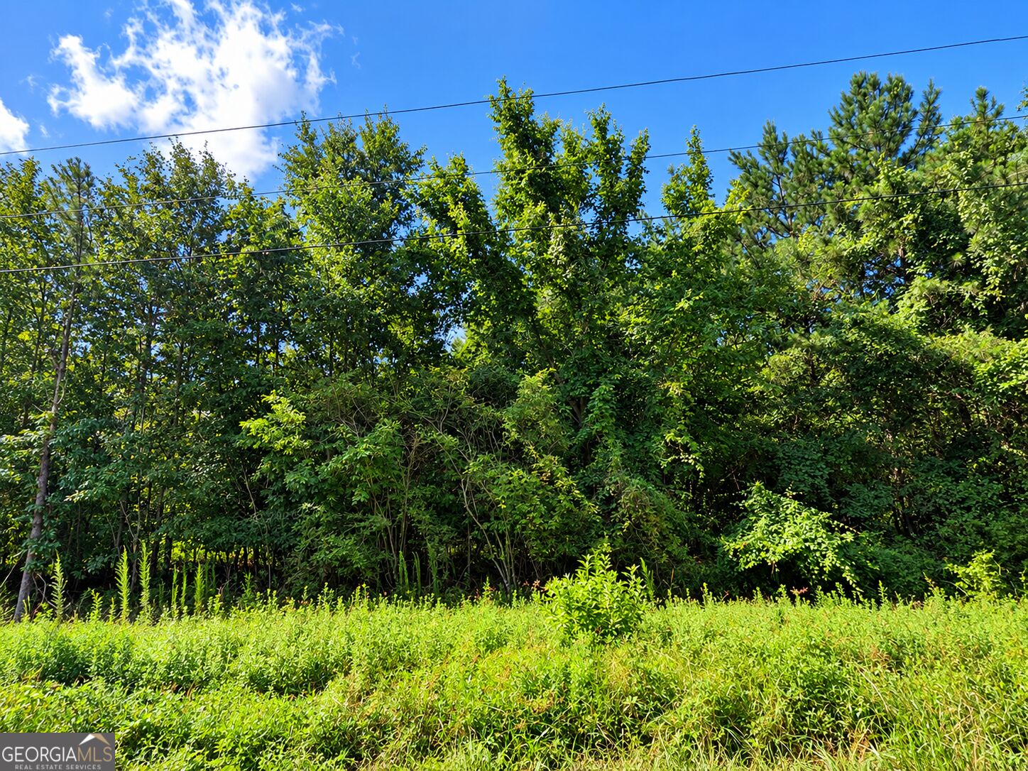 9.93 Acres Park Avenue Reynolds GA 31076