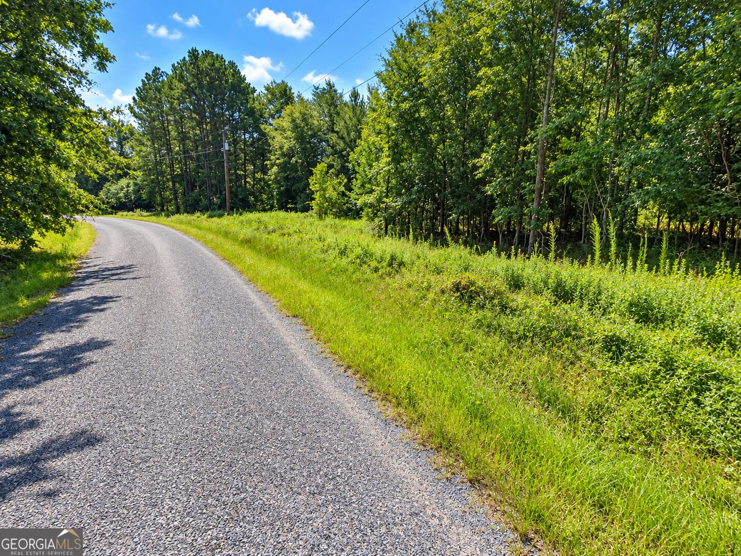 9.93 Acres Park Avenue Reynolds GA 31076
