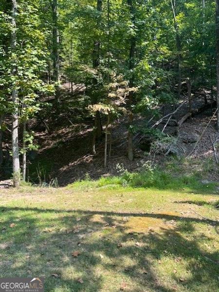 182 Morse Elm Loop Waleska GA 30183