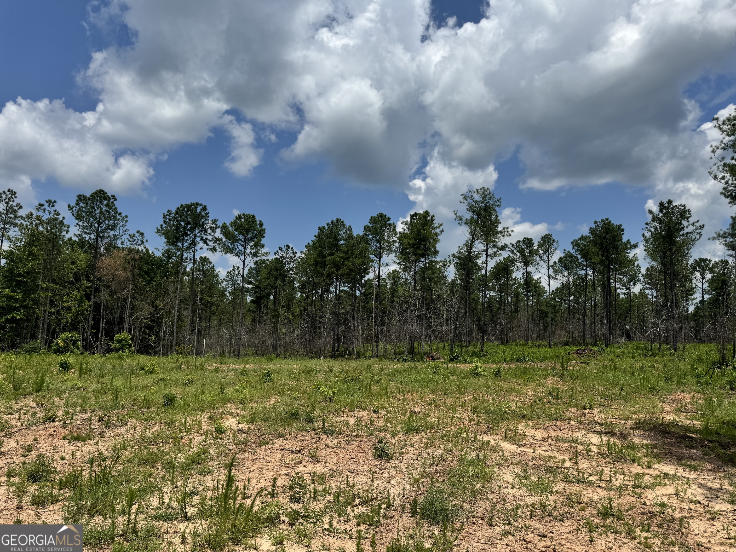 319 +/- Ac Highway 100 Franklin GA 30217