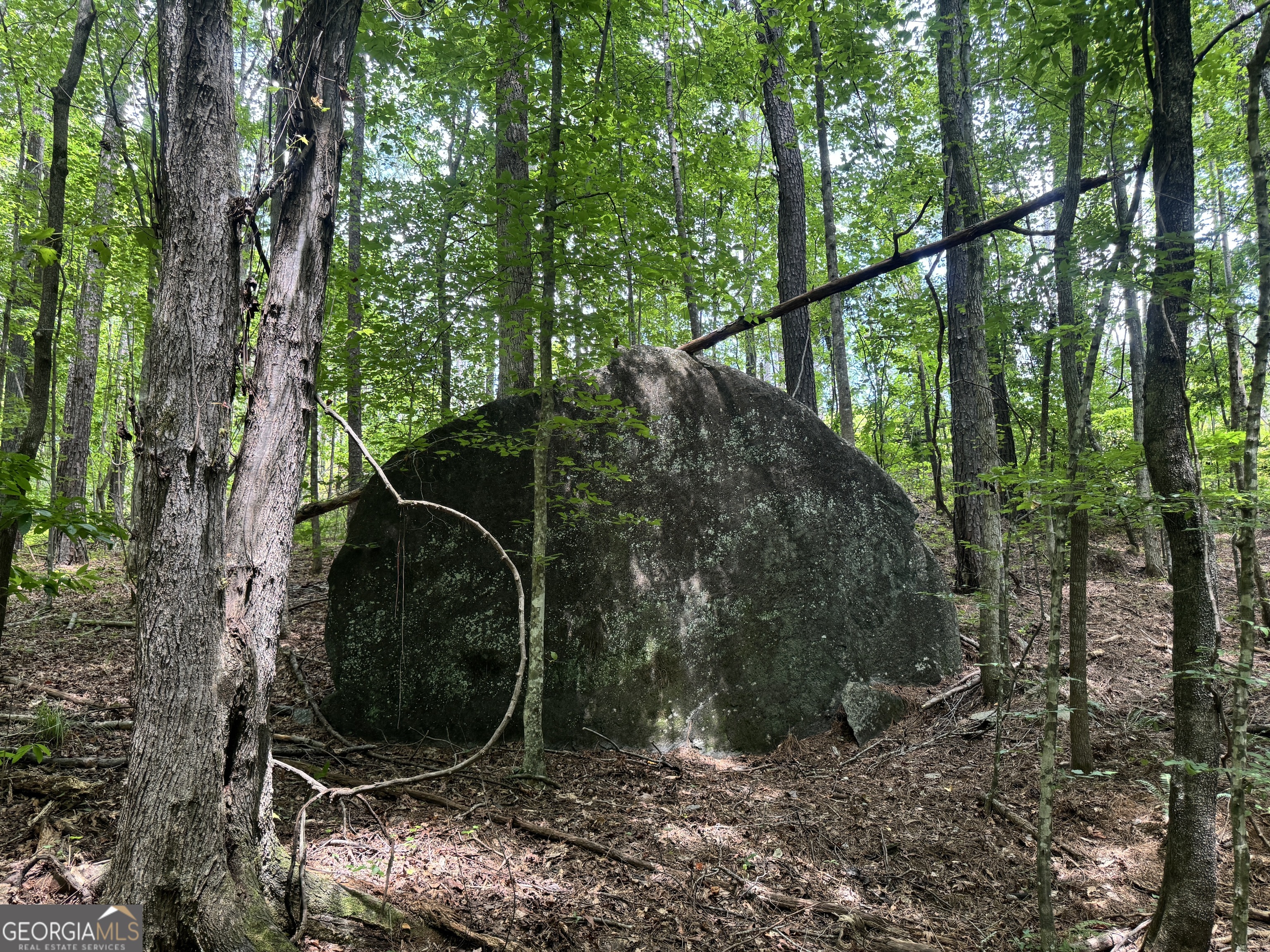 319 +/- Ac Highway 100 Franklin GA 30217