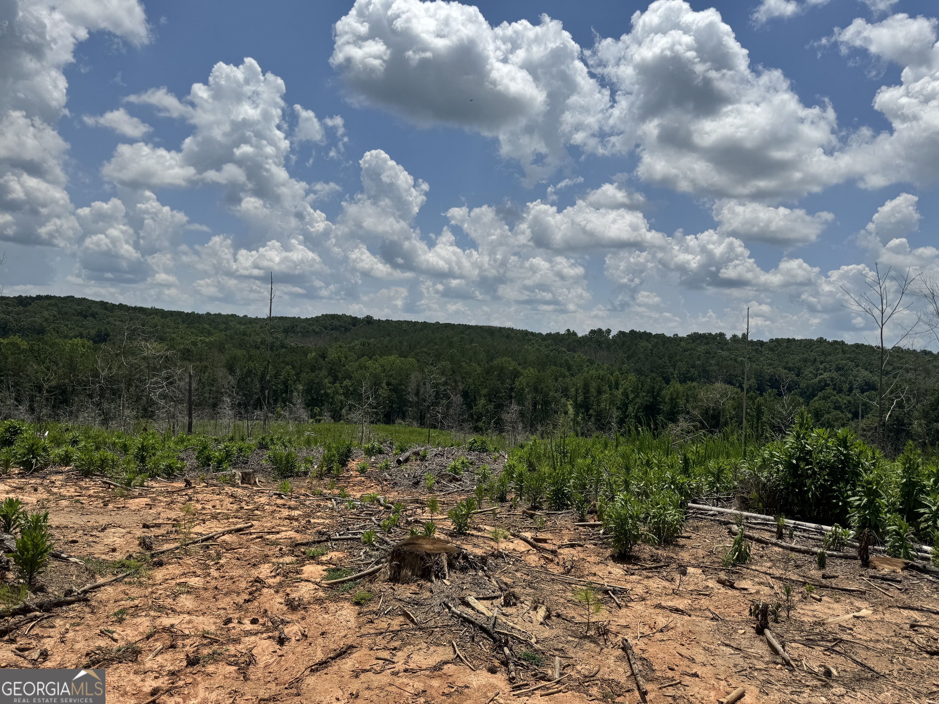 319 +/- Ac Highway 100 Franklin GA 30217