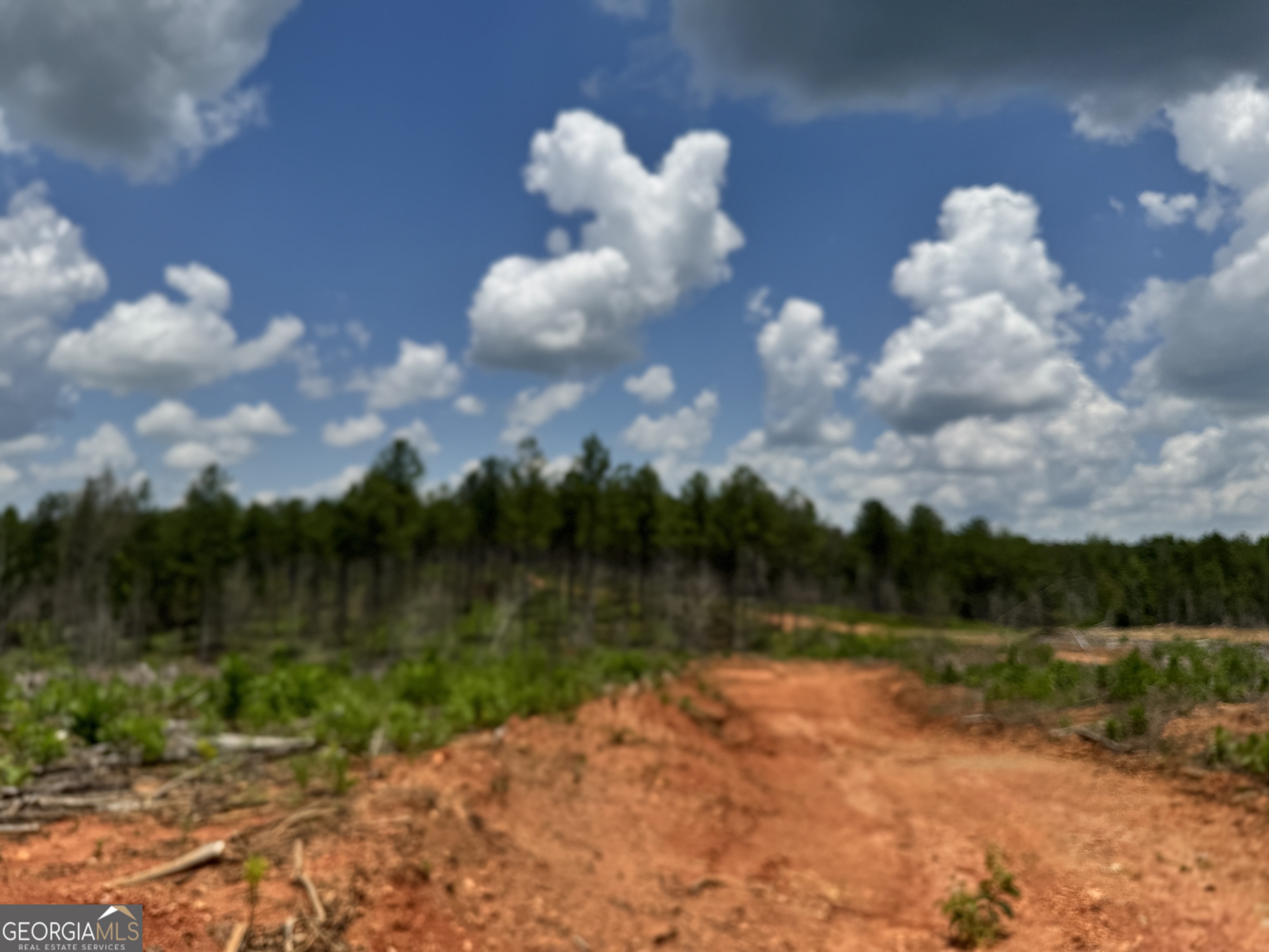 319 +/- Ac Highway 100 Franklin GA 30217