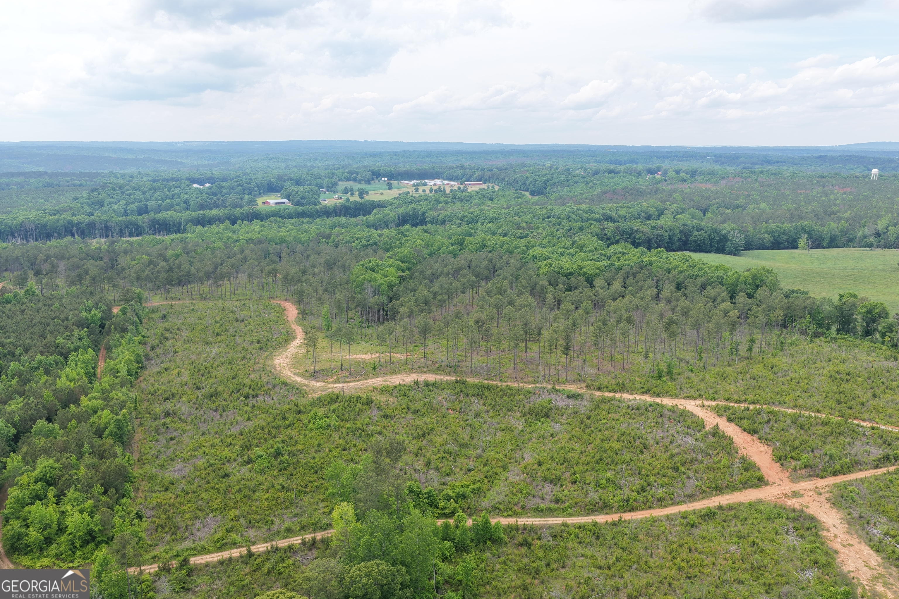 319 +/- Ac Highway 100 Franklin GA 30217