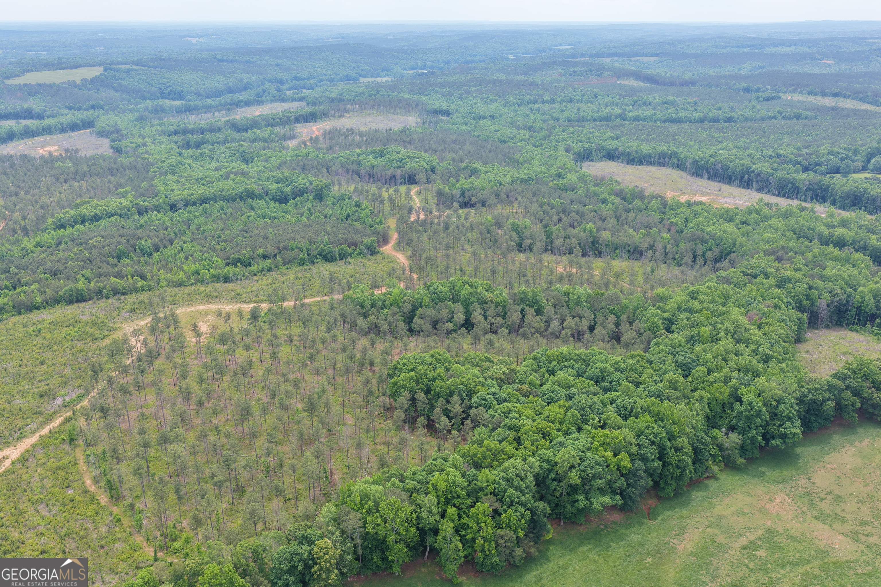 319 +/- Ac Highway 100 Franklin GA 30217