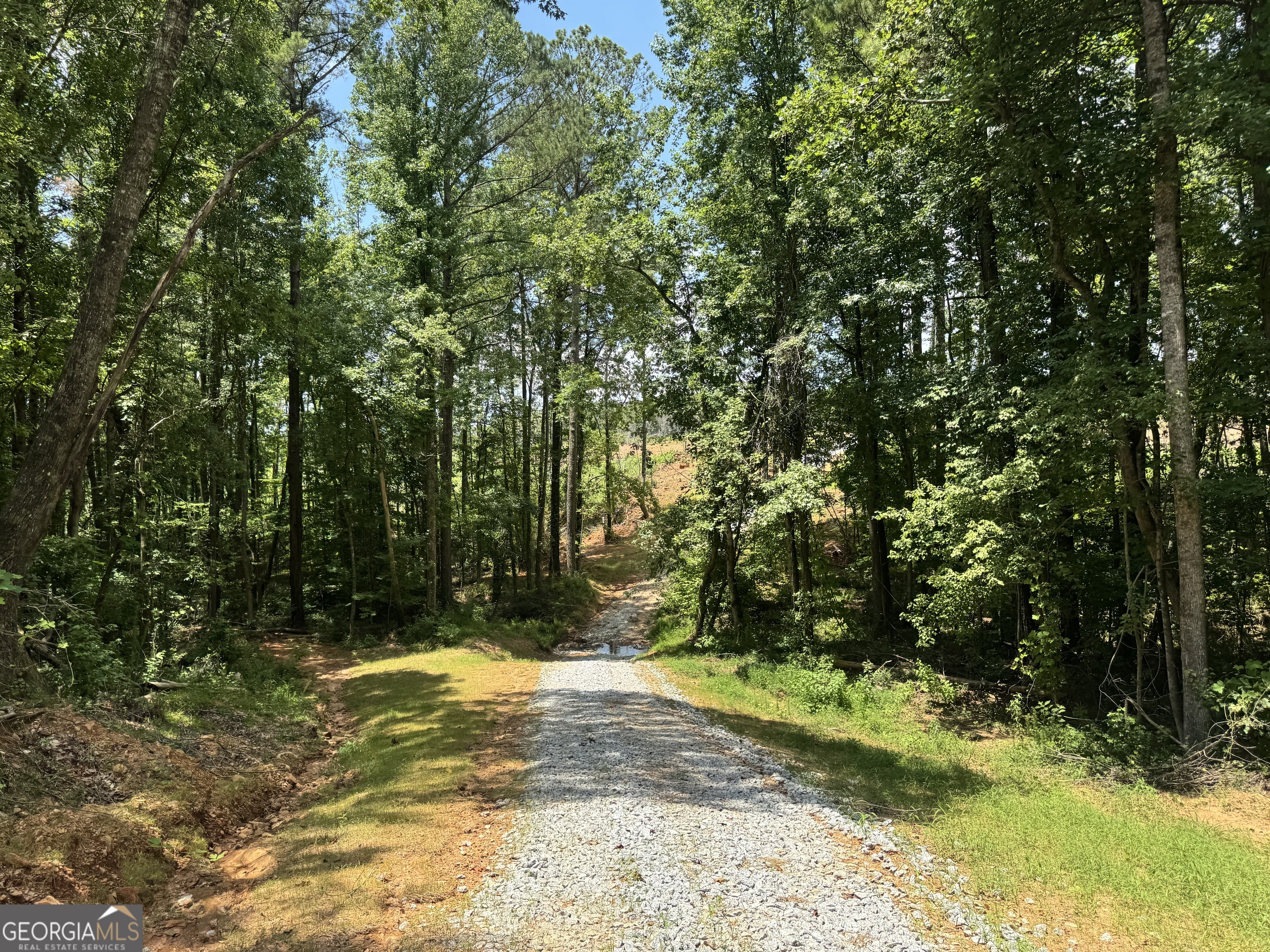 319 +/- Ac Highway 100 Franklin GA 30217