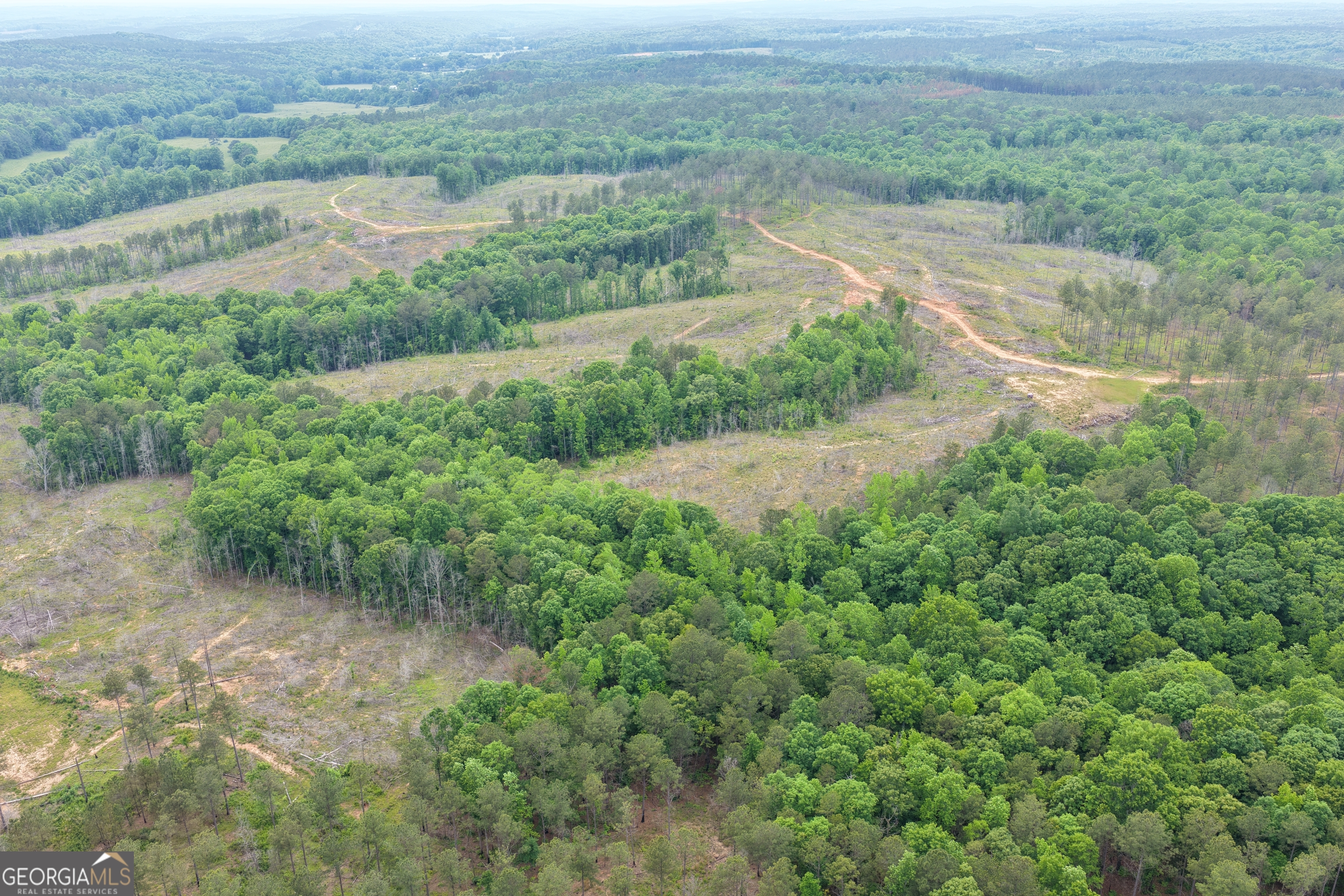 319 +/- Ac Highway 100 Franklin GA 30217