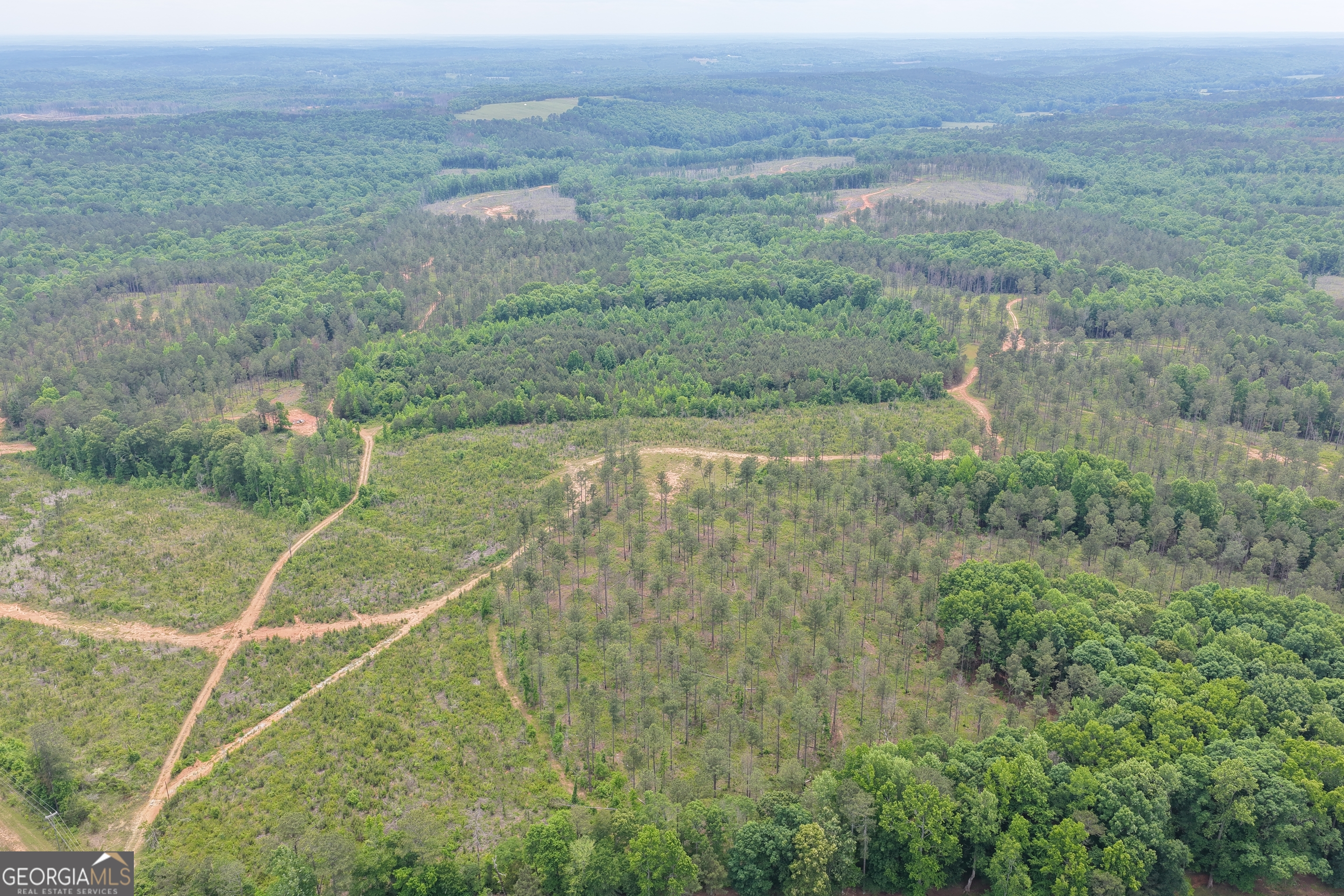 319 +/- Ac Highway 100 Franklin GA 30217