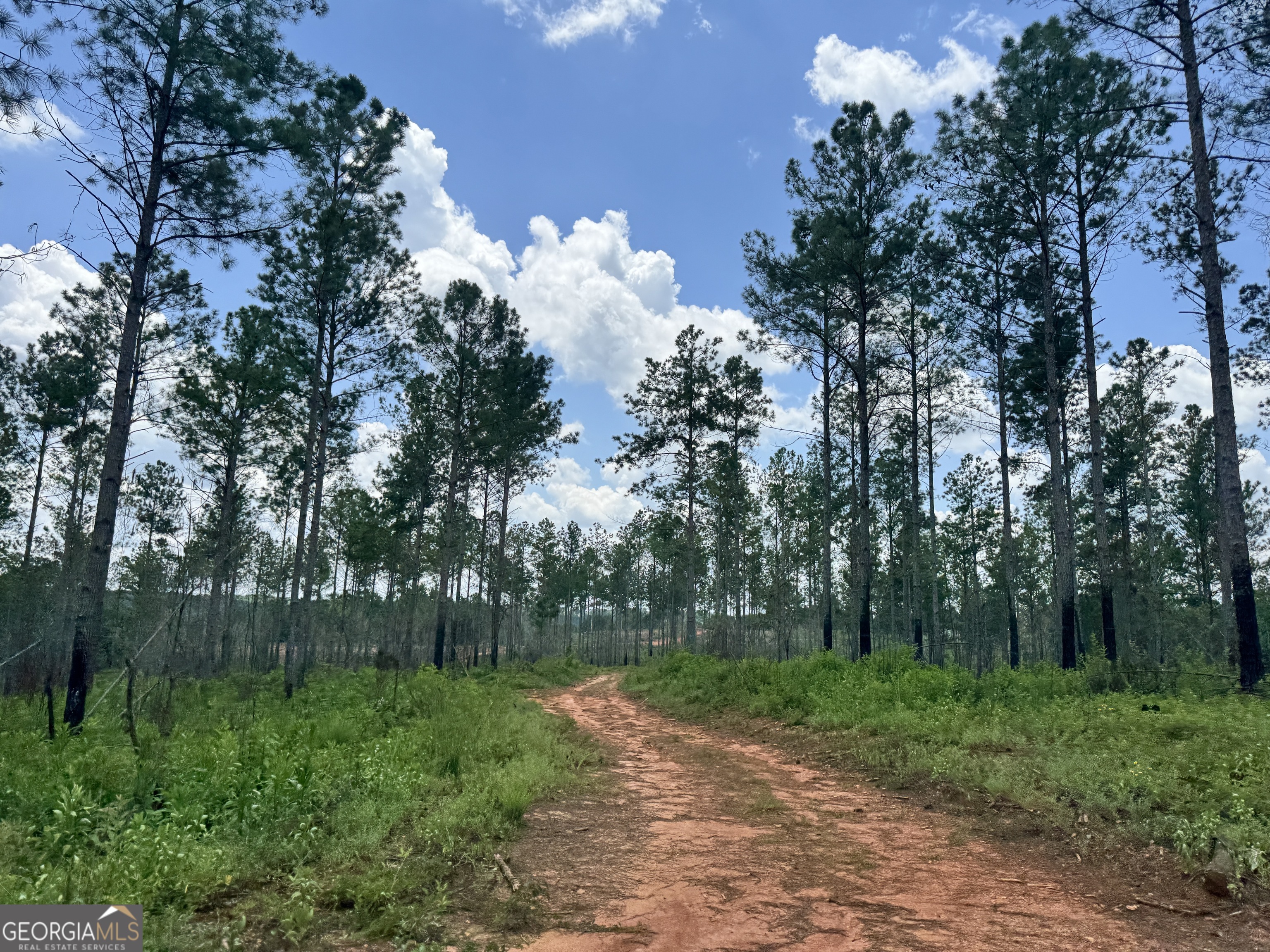 319 +/- Ac Highway 100 Franklin GA 30217