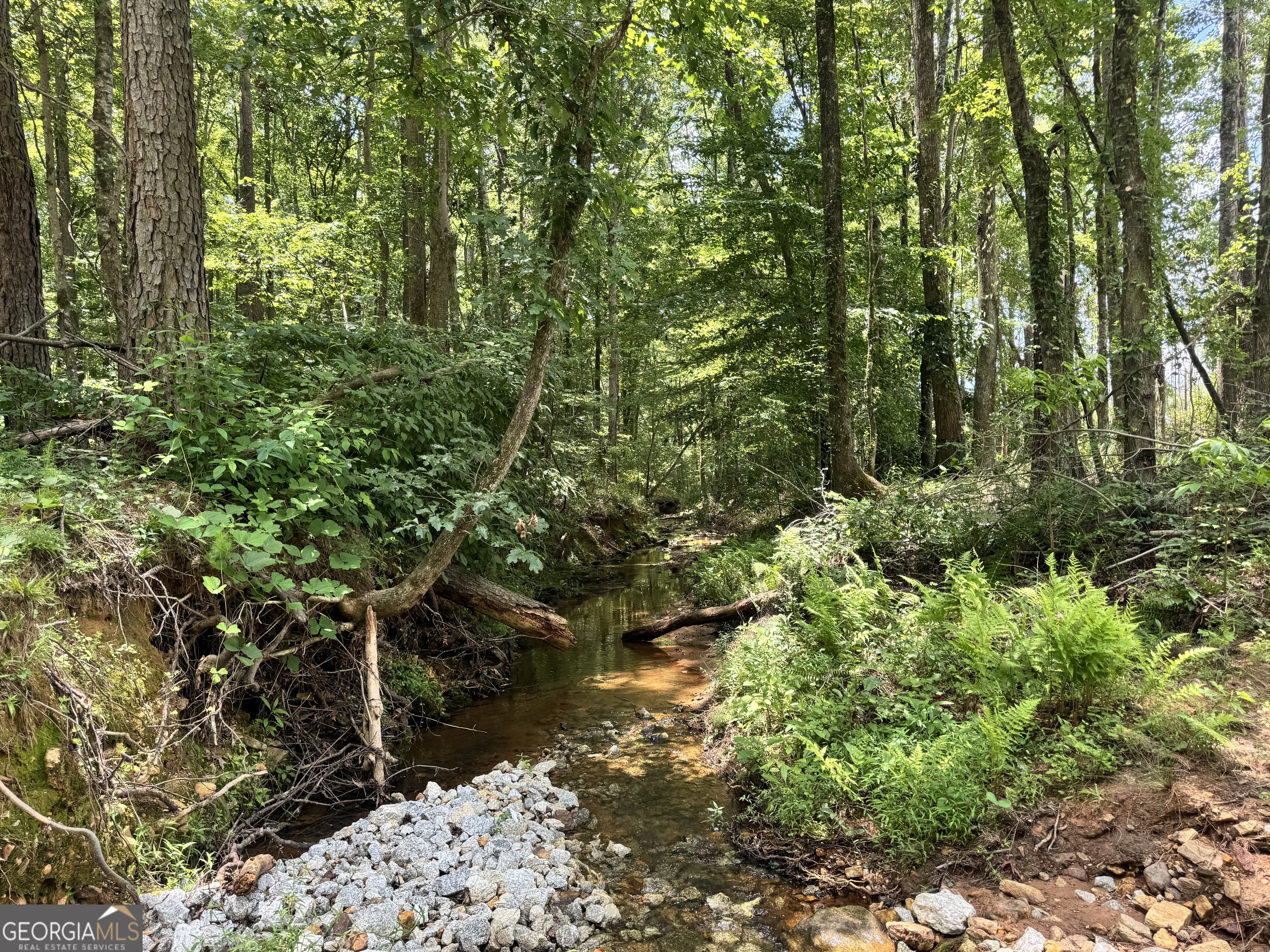 319 +/- Ac Highway 100 Franklin GA 30217