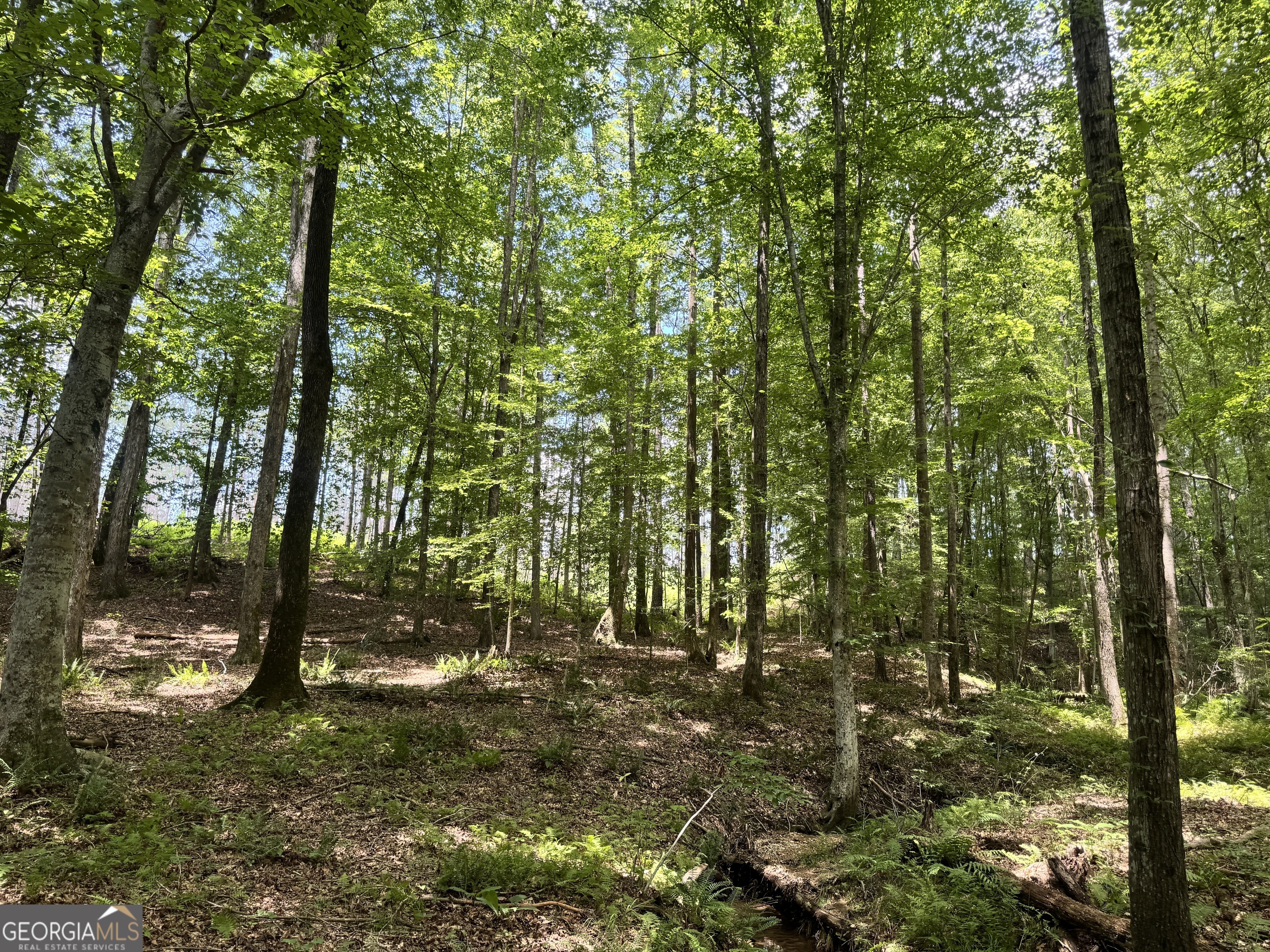 319 +/- Ac Highway 100 Franklin GA 30217