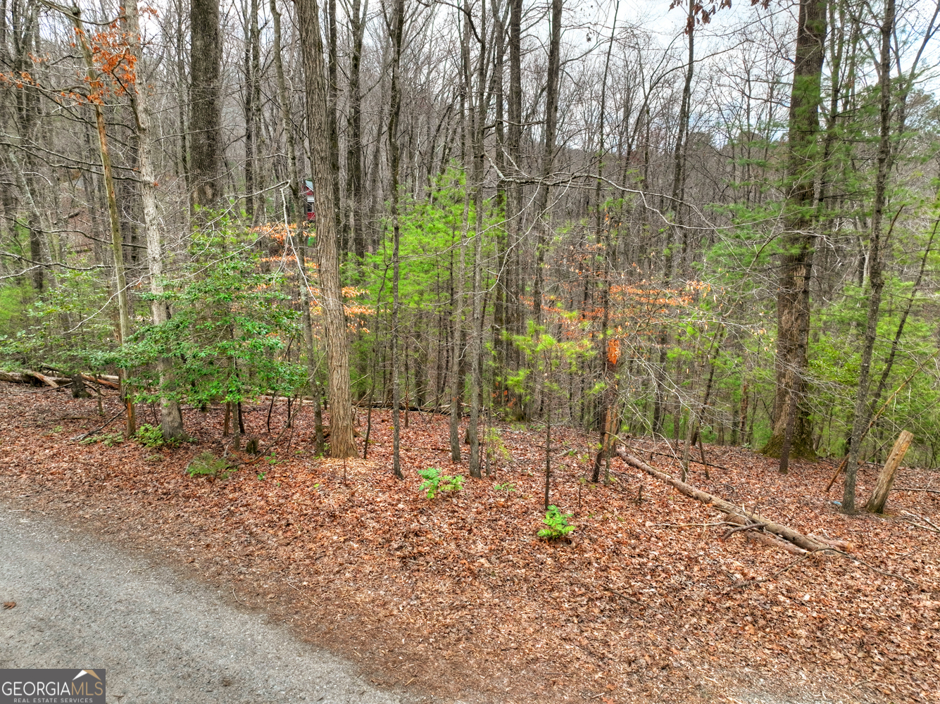 0 Ridge View Court Ellijay GA 30536